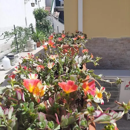 Casetta Appartamento *